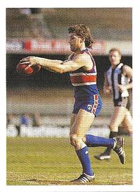 1991 Select AFL Stickers #119 Brian Royal Front